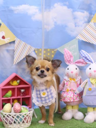 20240317れおくん